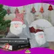 Tangchen Latest Christmas Decorations for business for holiday decoration 1