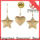 Tangchen Custom christmas yard decorations factory for holiday decoration 1