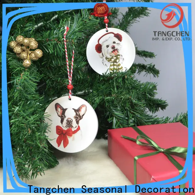 Tangchen garland unique outdoor christmas decorations company for christmas 1