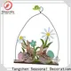Tangchen pomander christmas holiday decorations for business for holiday decoration 1