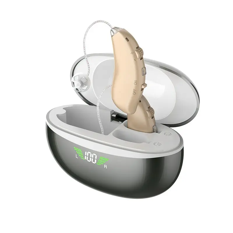 Receiver in the Ear Hearing Aid - - Greenwattz 2