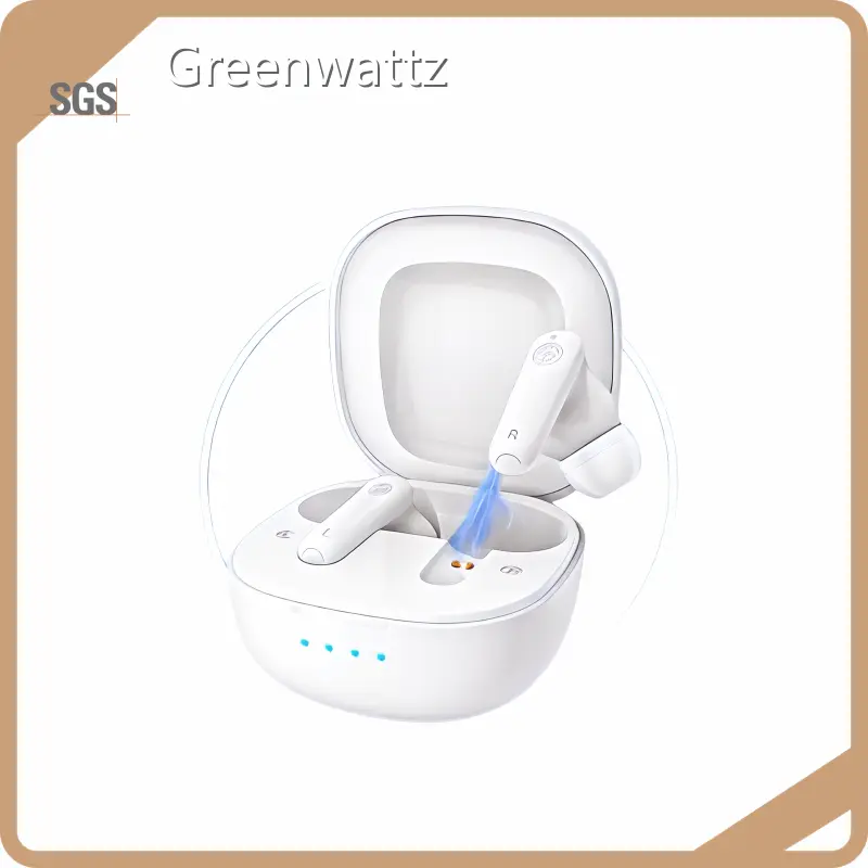 Ite Hearing Aid Prices by Greenwattz 1