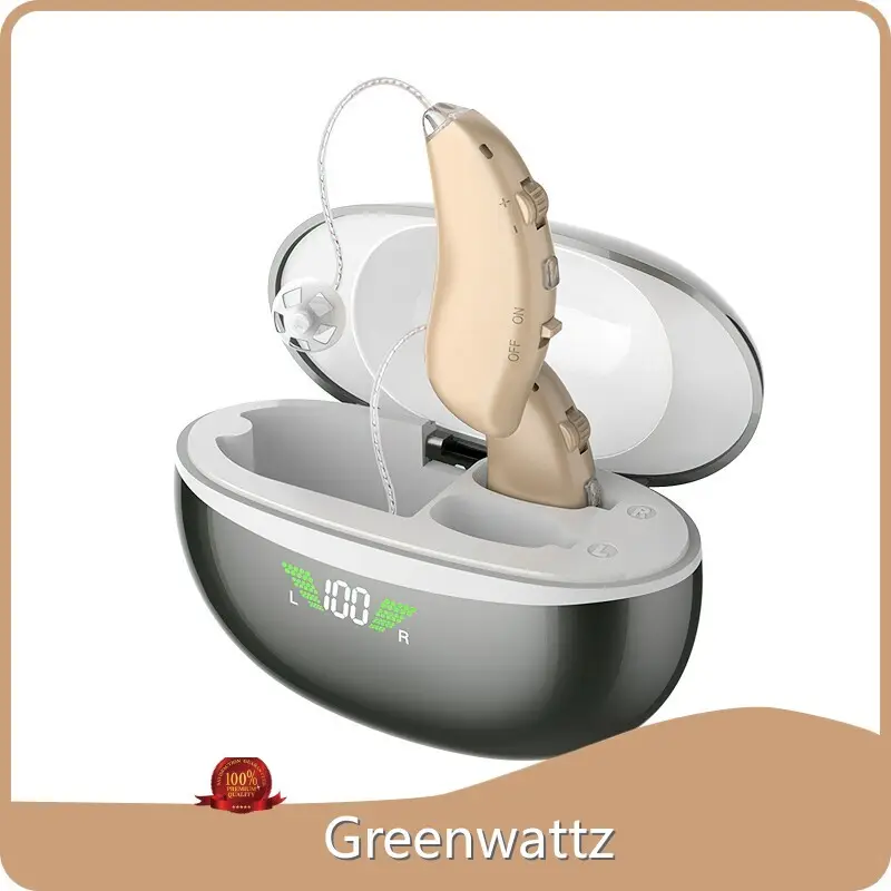 in Canal Hearing Aid by Greenwattz 1