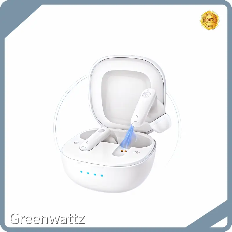 Full Shell Ite Hearing Aid by Greenwattz 1