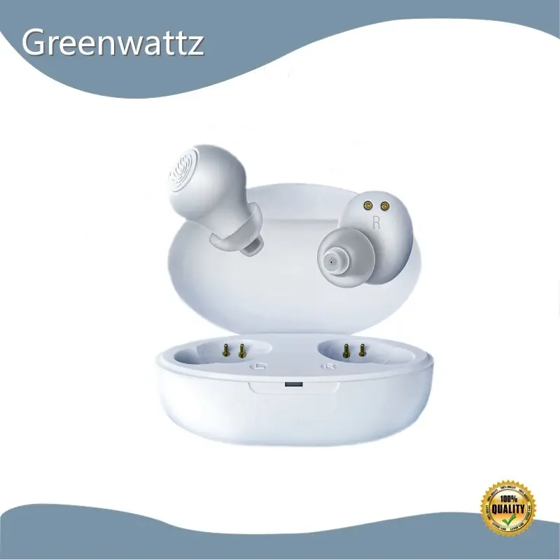 Hearing Aids Factory by Greenwattz 1