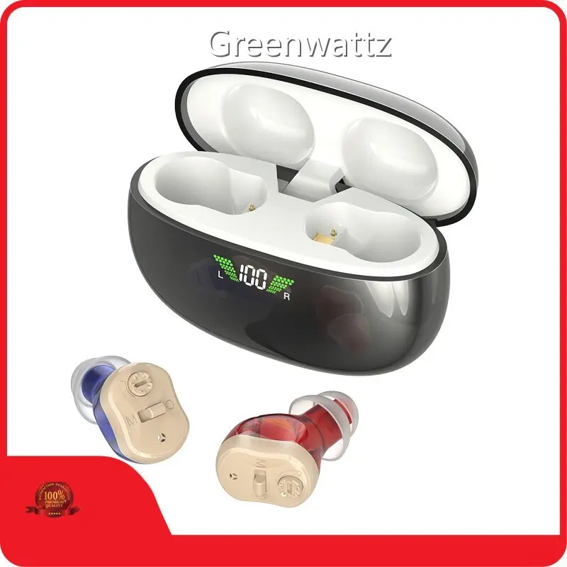 in Ear Canal Hearing Aids by Greenwattz 1