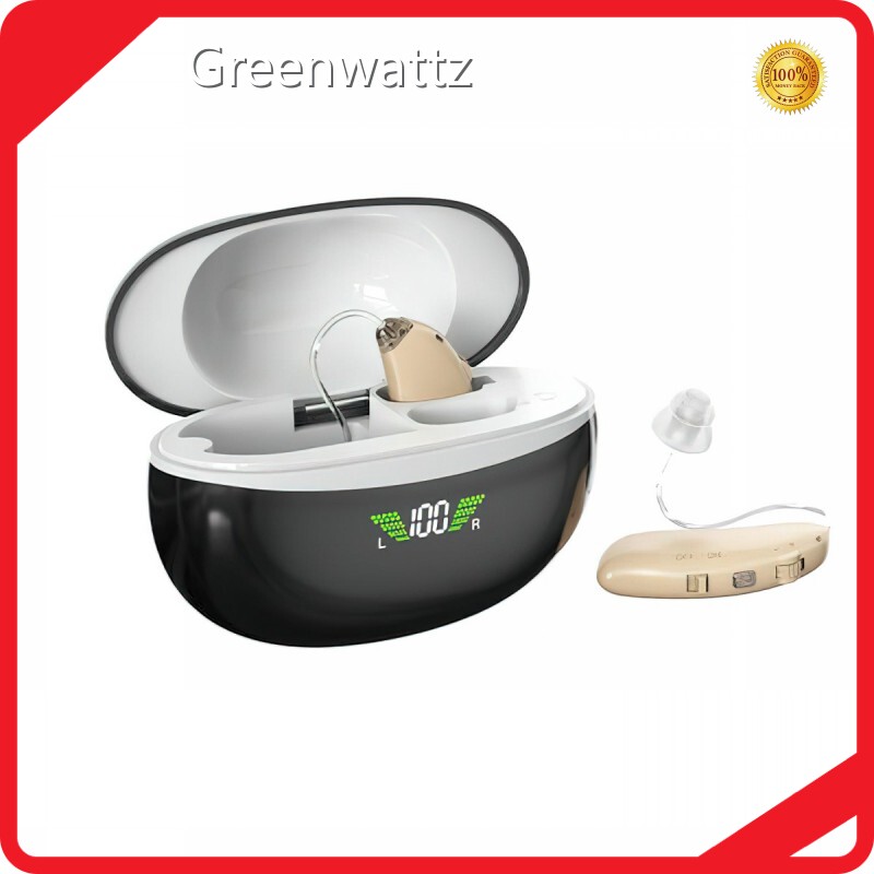 Behind the Ear Hearing Aid Price by Greenwattz 1