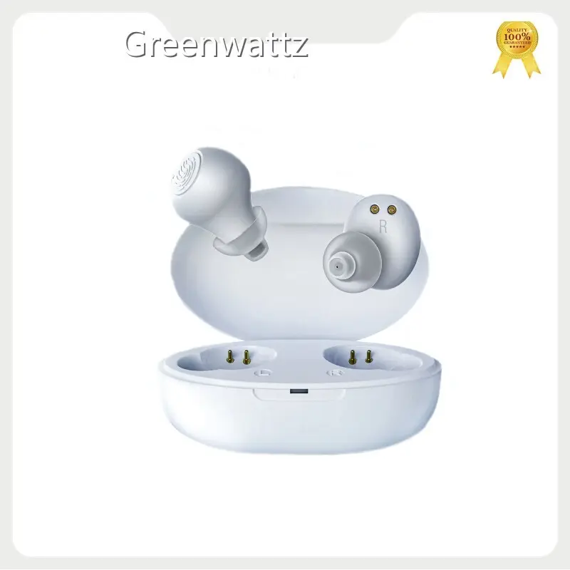 Ite Rechargeable Hearing Aids Wholesale - Greenwattz 1