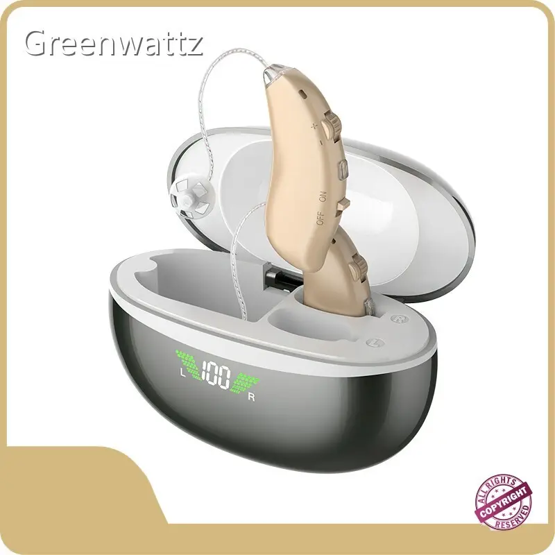 Receiver in the Ear Hearing Aid - - Greenwattz 1
