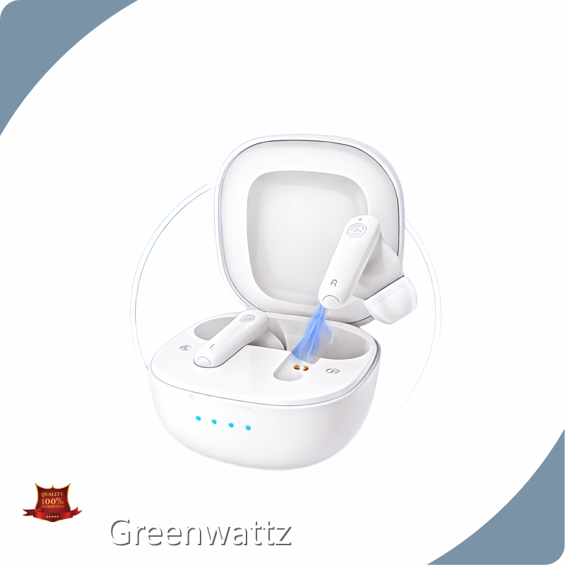 Ite Hearing Aid for Severe Hearing Loss Wholesale - Greenwattz 1
