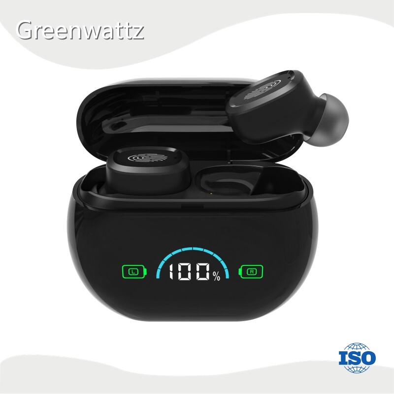 Ite Hearing Aids by Greenwattz 1