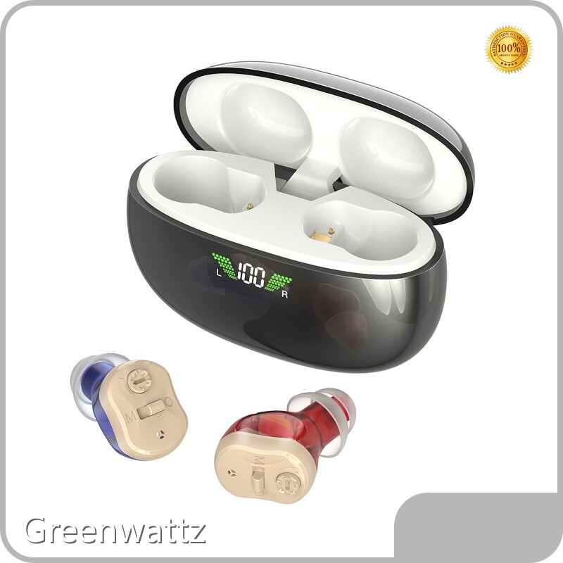 Rechargeable Ite Hearing Aids by Greenwattz 1