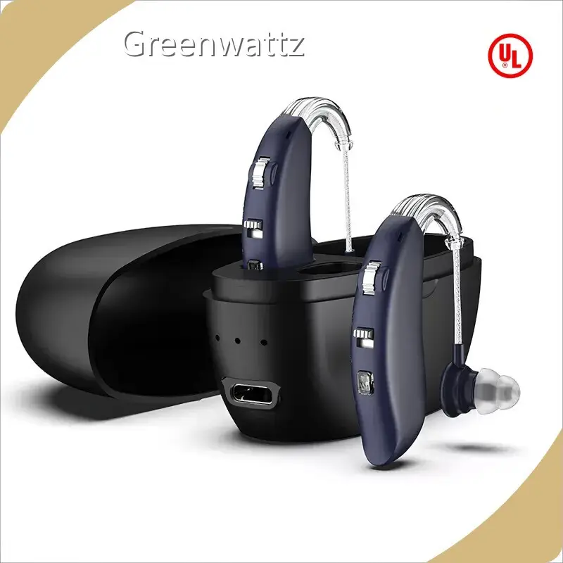 Ric Hearing Aid Prices Wholesale - Greenwattz 1