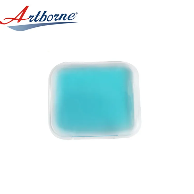 Artborne packs ice paks factory for back 4