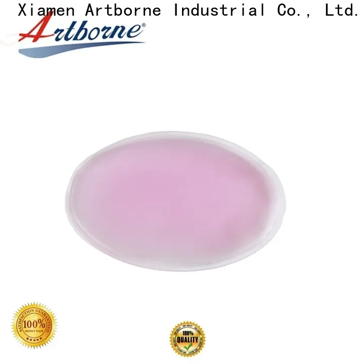 Artborne packs ice paks factory for back 1