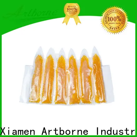 Artborne wholesale gel ice pack wine cooler for business for wine bottle 1