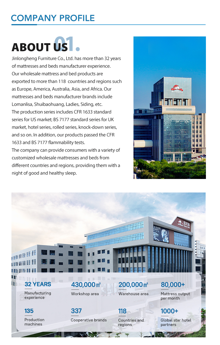 Tilpasset FP-04 Elastisk gitter Støttende Lilla Pustende Mikrofiber Honeycomb TPE pute for å sove | JLH Mattress 21