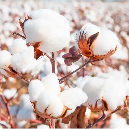 Luxuriöses, individuell anpassbares Hotel-Handtuchset in Weiß mit Etikett 9