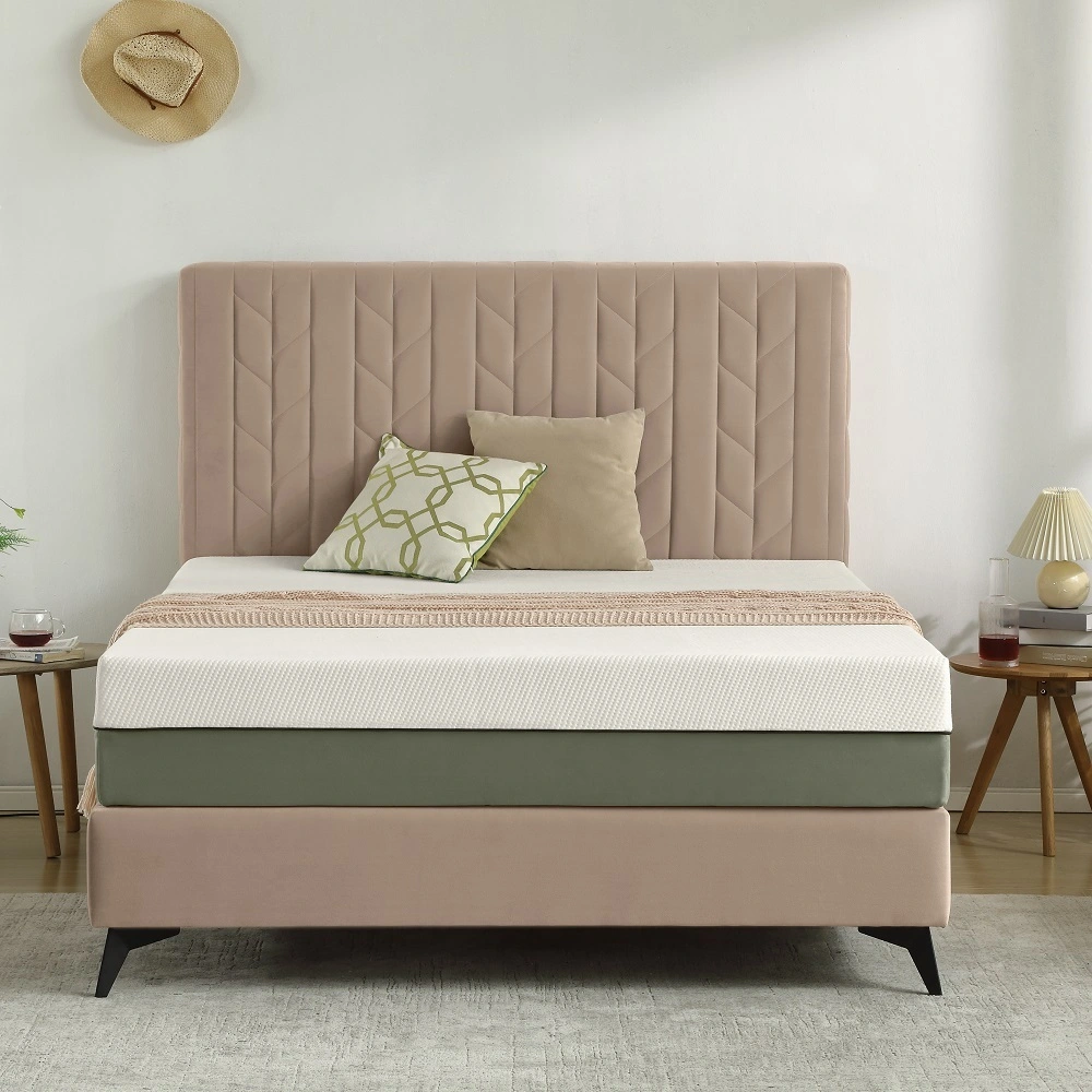 Matelas en mousse à mémoire de forme au thé vert 25TM-01 pour adulte de 10 pouces au meilleur rapport qualité-prix 1