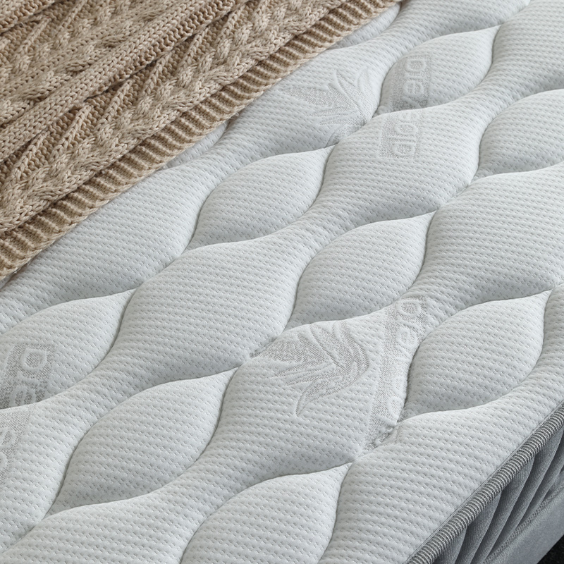 Best Quality 21PB-39 Easy go Mattress in a box 10inch Factory 2