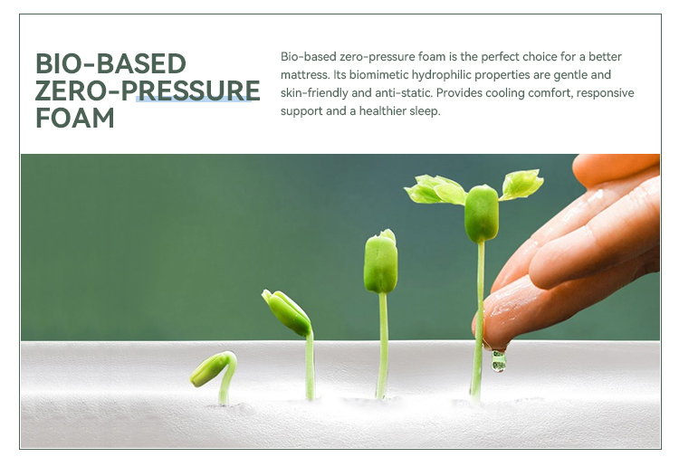 30BM-03 LOLITA Bio-based zero-pressure foam MATTRESS Products | JLH Mattress 12