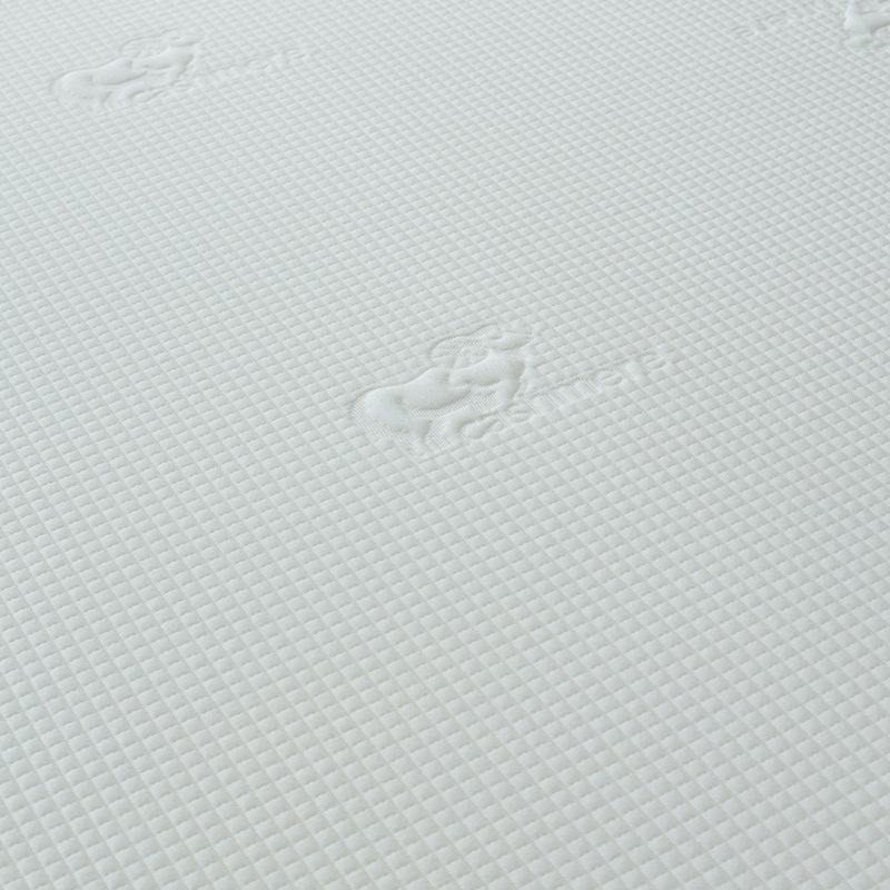 25MM-02 10inch Memory foam mattress Products | JLH Mattress 2