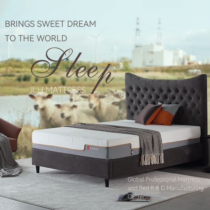 Matelas en mousse à mémoire de forme 25MM-02 10 pouces Produits | JLH Mattress 1