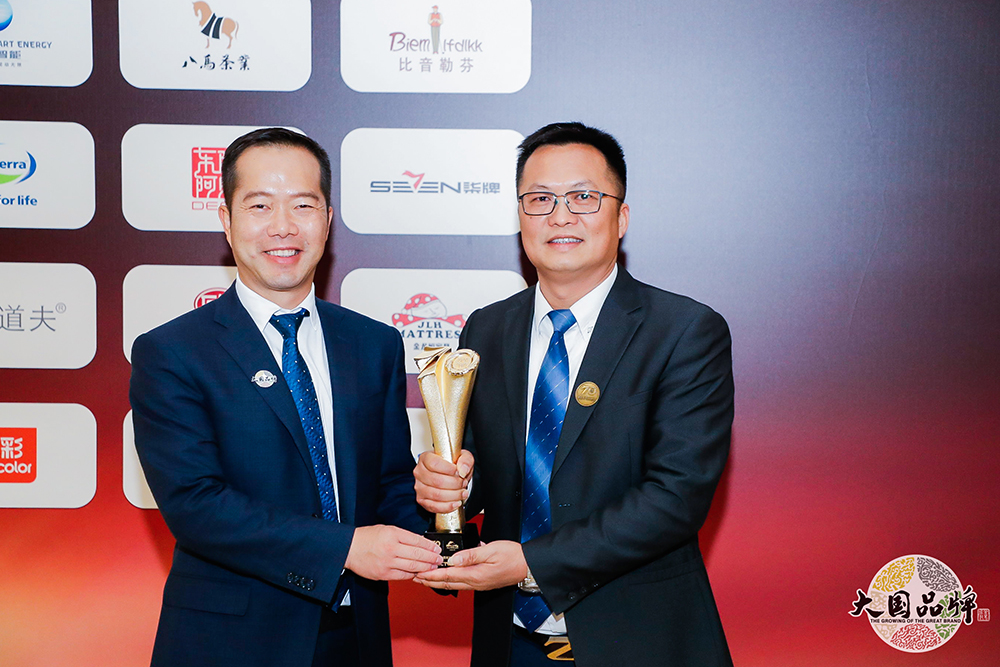 बड़ा देशी ब्रांड! [Jinlongheng • गद्दा] ने नया चीन 70 साल 70 ब्रांड जीता 4