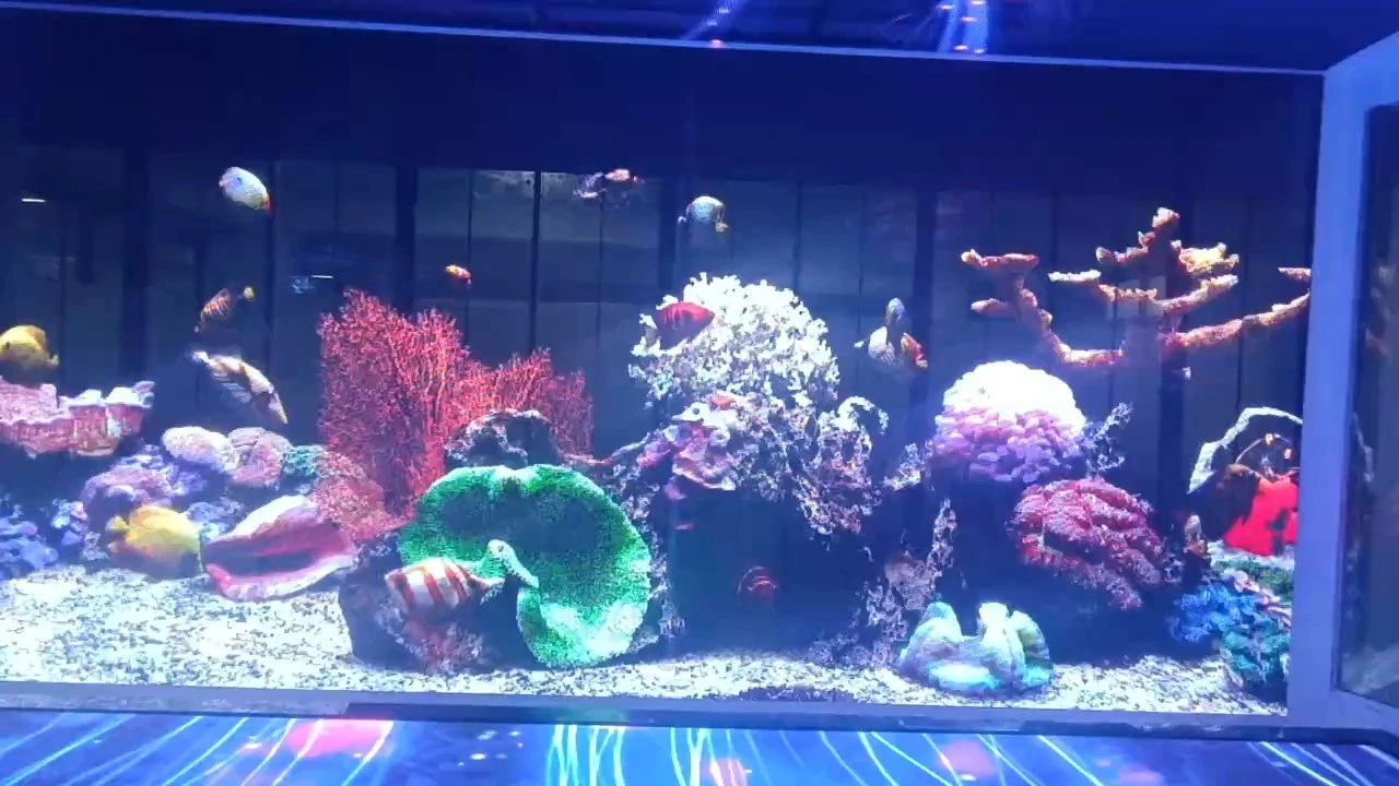 P3.91 Holographic LED Screen - 92% Transparency & Ultra-Clear 3D Visuals 1