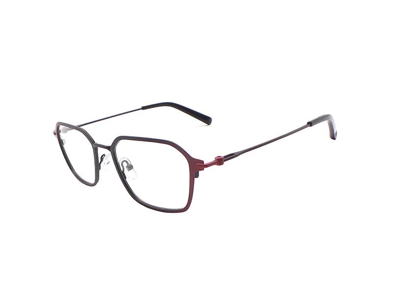 Stainless Eyeglasses Frames Women - - Quick Wonder 4
