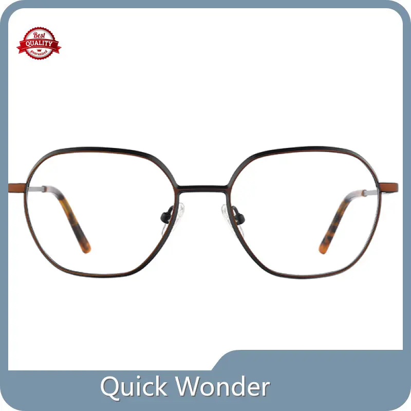 Pure Titanium Glasses Frames 100 Days - - Quick Wonder 1