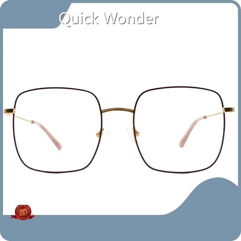 Titanium Glasses Frames 53-50-19-140 by Quick Wonder 1