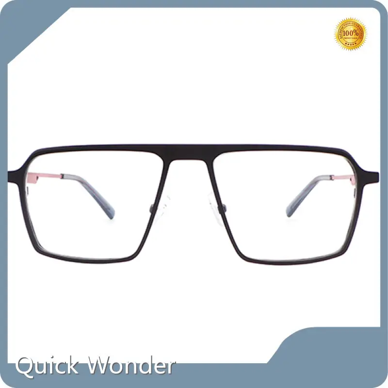 Stainless Steel Eyewear Frames Stylish / Layered Design / Modern / Minimalist Wholesale - Quick Wonder 1