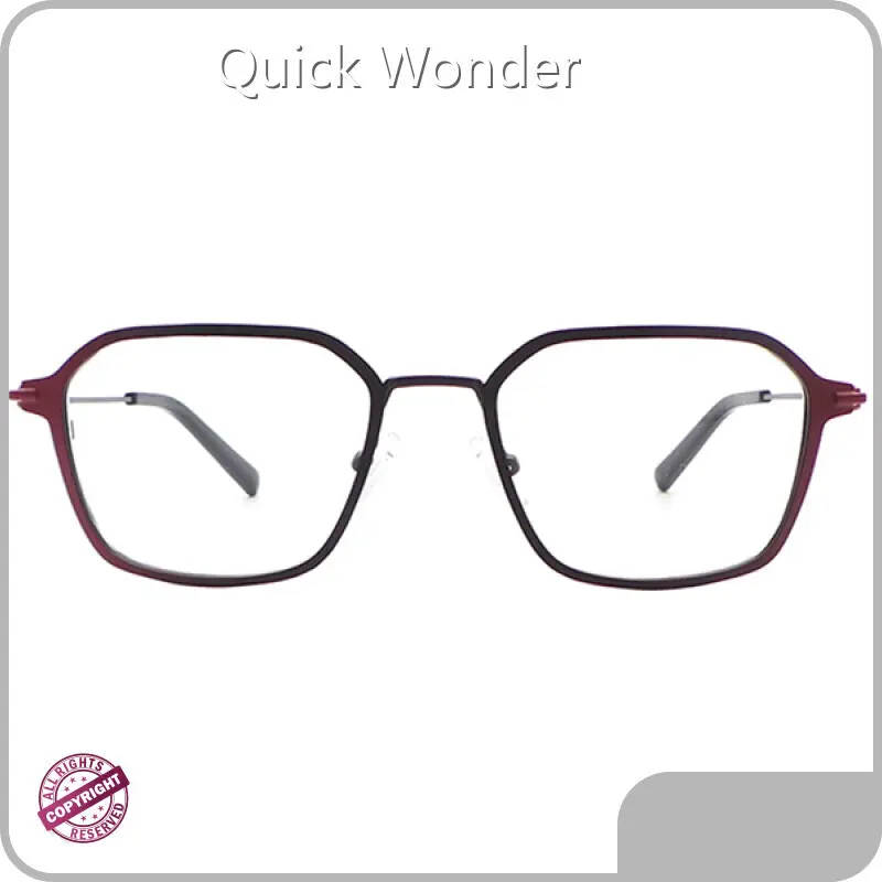 Stainless Steel Eyeglass Frames P-RS90132 by Quick Wonder 1