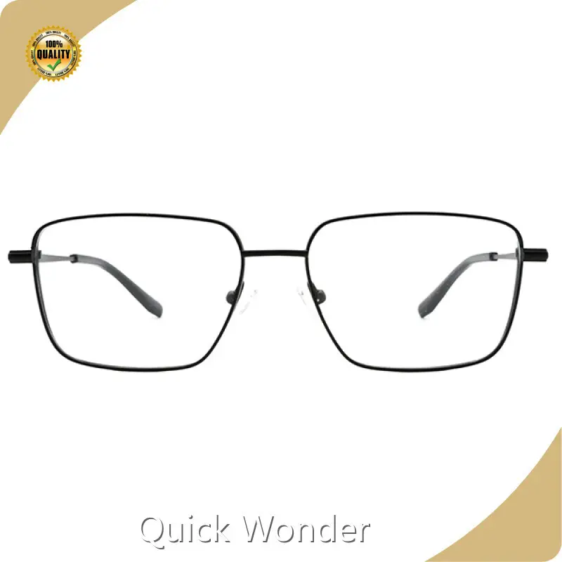 Best Titanium Eyeglass Frames 100 Days by Quick Wonder 1