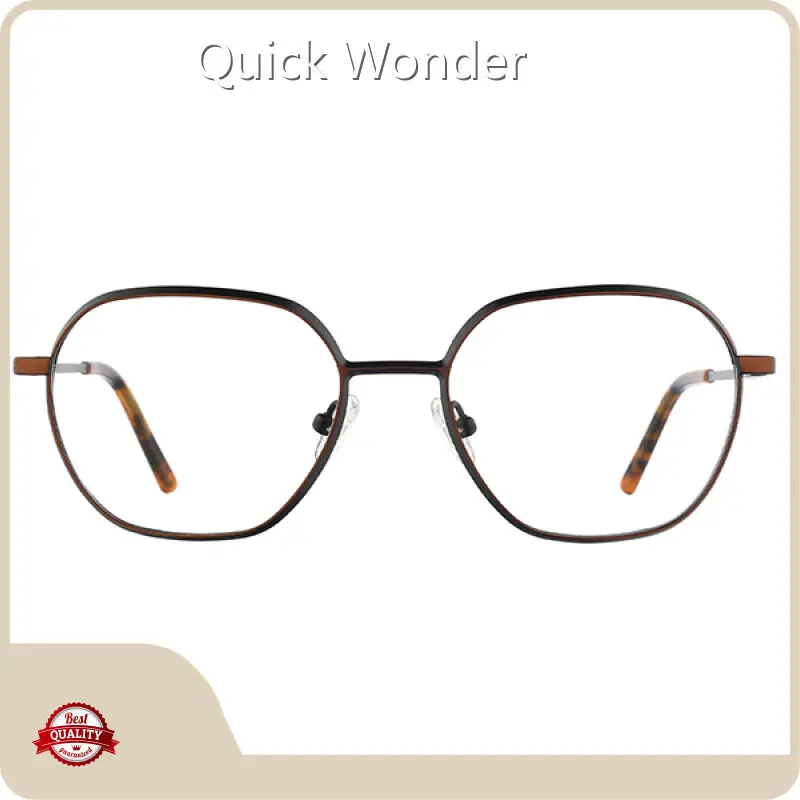 Pure Titanium Eyeglass Frames Men Wholesale - Quick Wonder 1