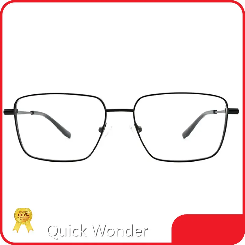 Titanium Spectacle Frames P-T40167 Wholesale - Quick Wonder 1