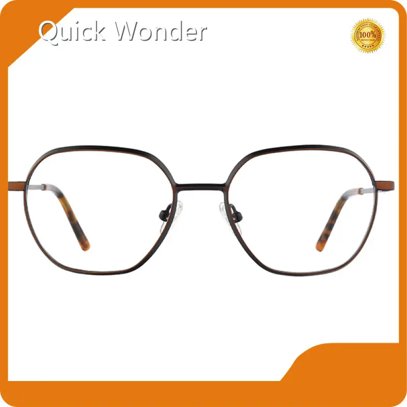 Custom Glasses Frames P-T40133 by Quick Wonder 1
