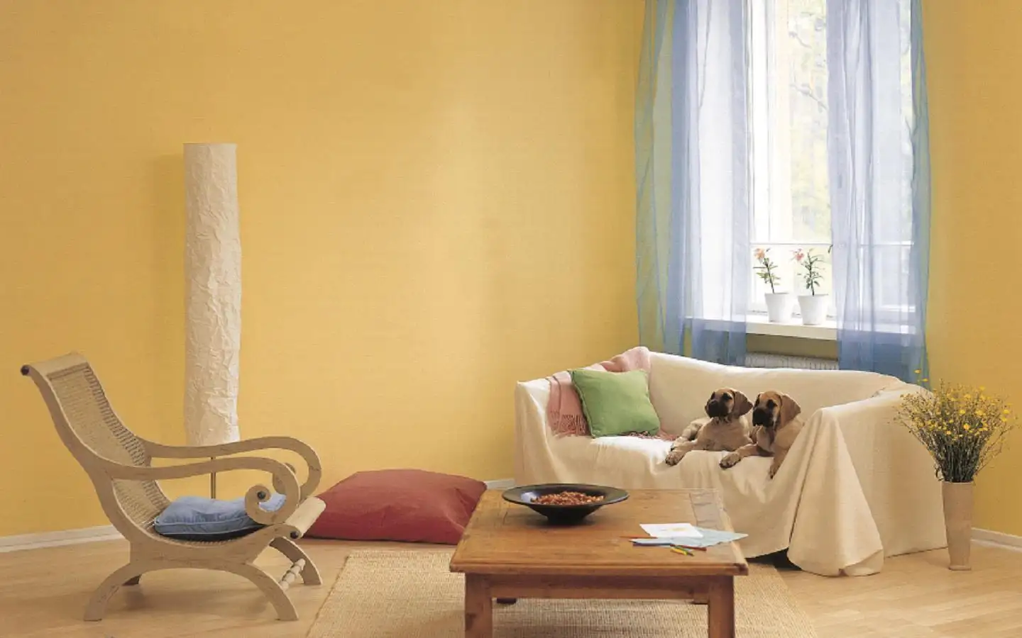 JIANBANG Top home interior wall paint Supply car 2