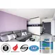 YMS Paint internal wall paint manufacturers car 2