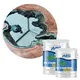 Wholesale a wall painting manufacturers hydrochloric acid pool 2