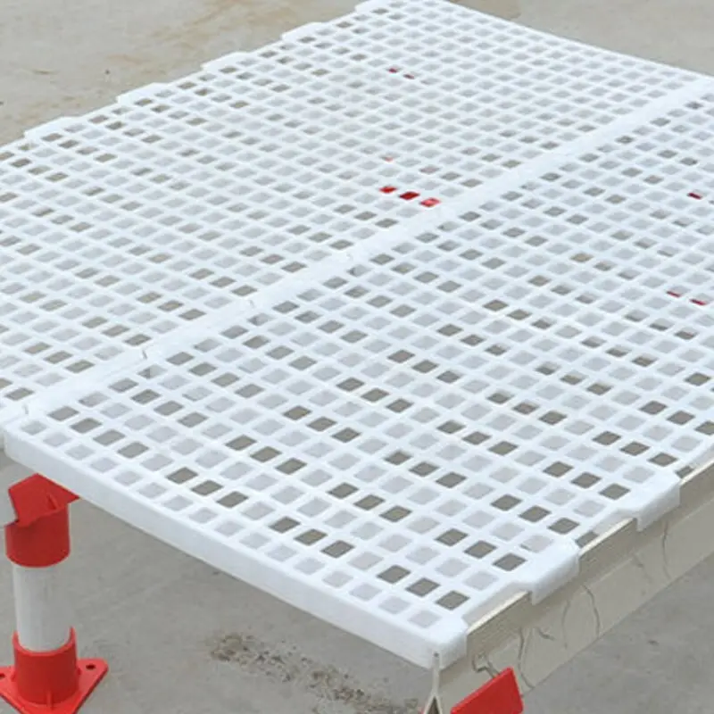 stable plastic slatted floor directly sale for breeding 2