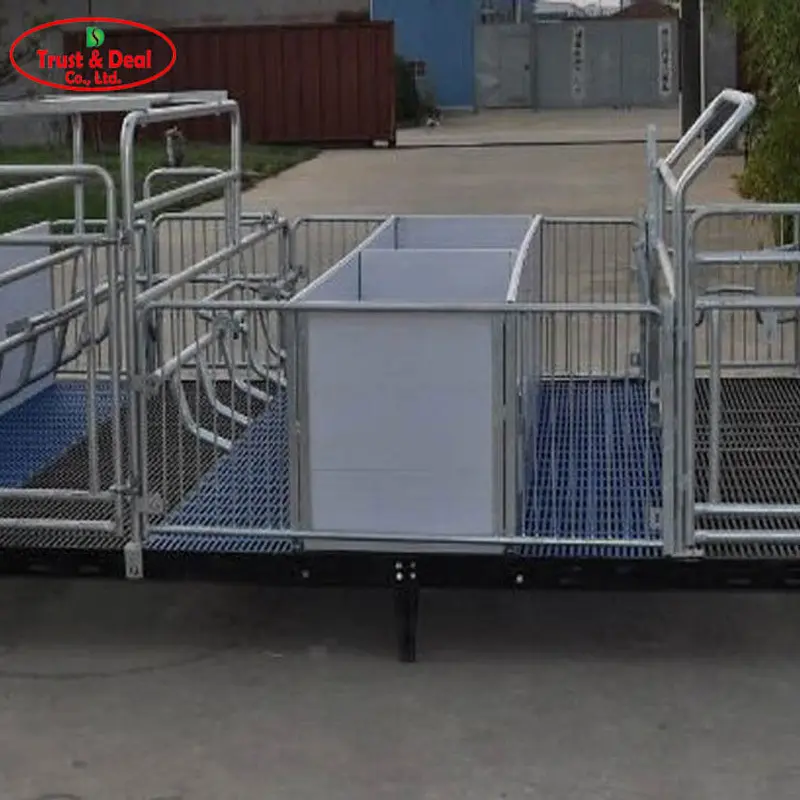 quality goat flooring directly sale for farm 6
