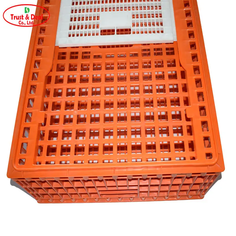 Trust&Deal Breeding Equipment Array image120