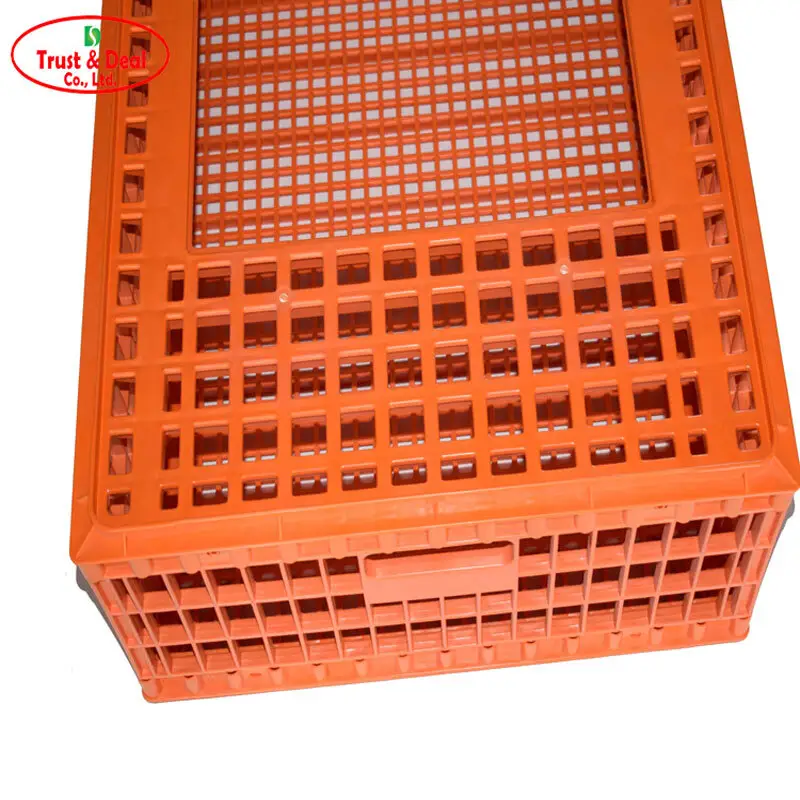 Trust&Deal Breeding Equipment Array image59
