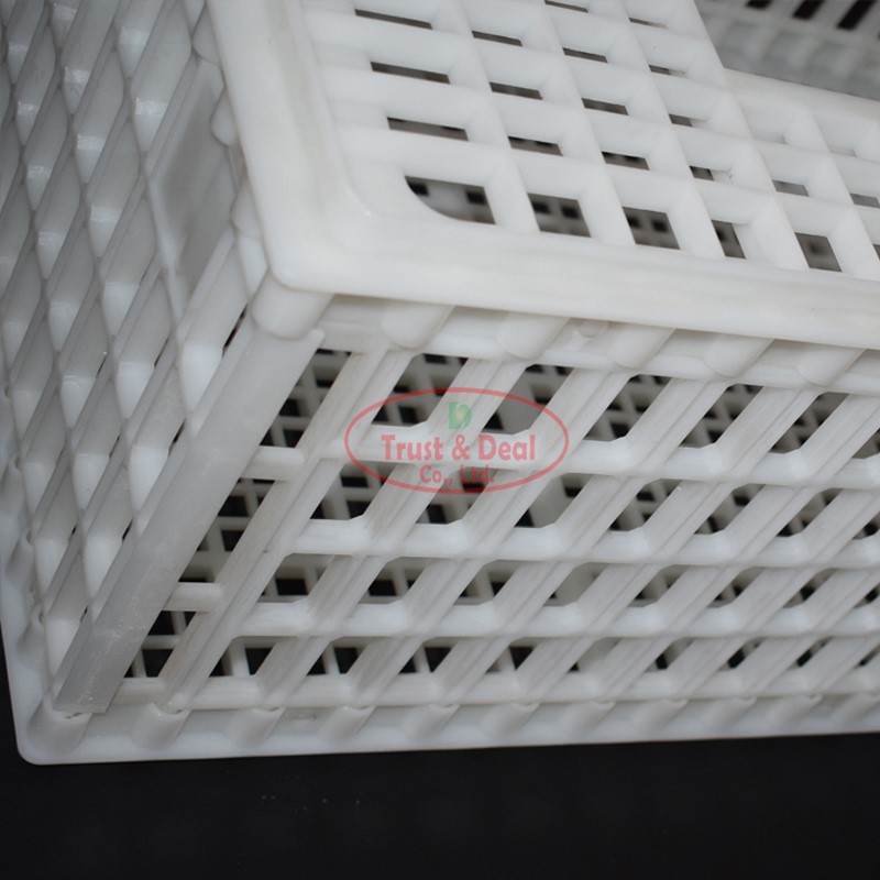 Trust&Deal Breeding Equipment approved poultry crates factory for transport 5