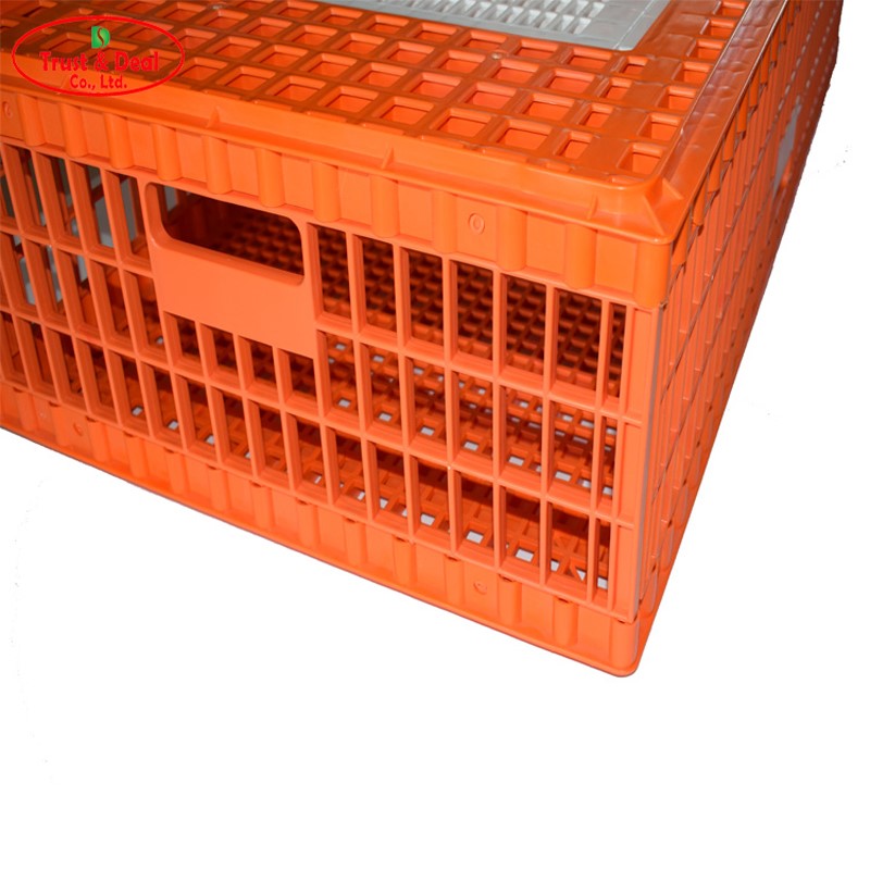 Trust&Deal Breeding Equipment approved poultry crates factory for transport 3