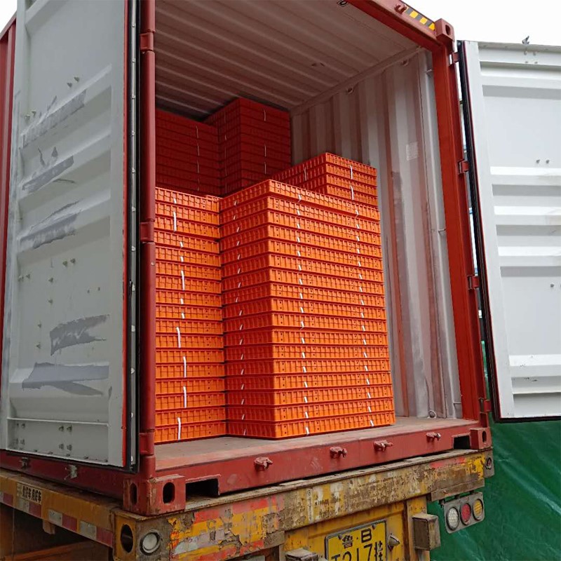 Trust&Deal Breeding Equipment approved poultry crates factory for transport 6
