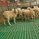 quality plastic slat flooring customized for farm 7