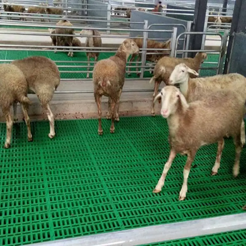 quality plastic slat flooring customized for farm 8